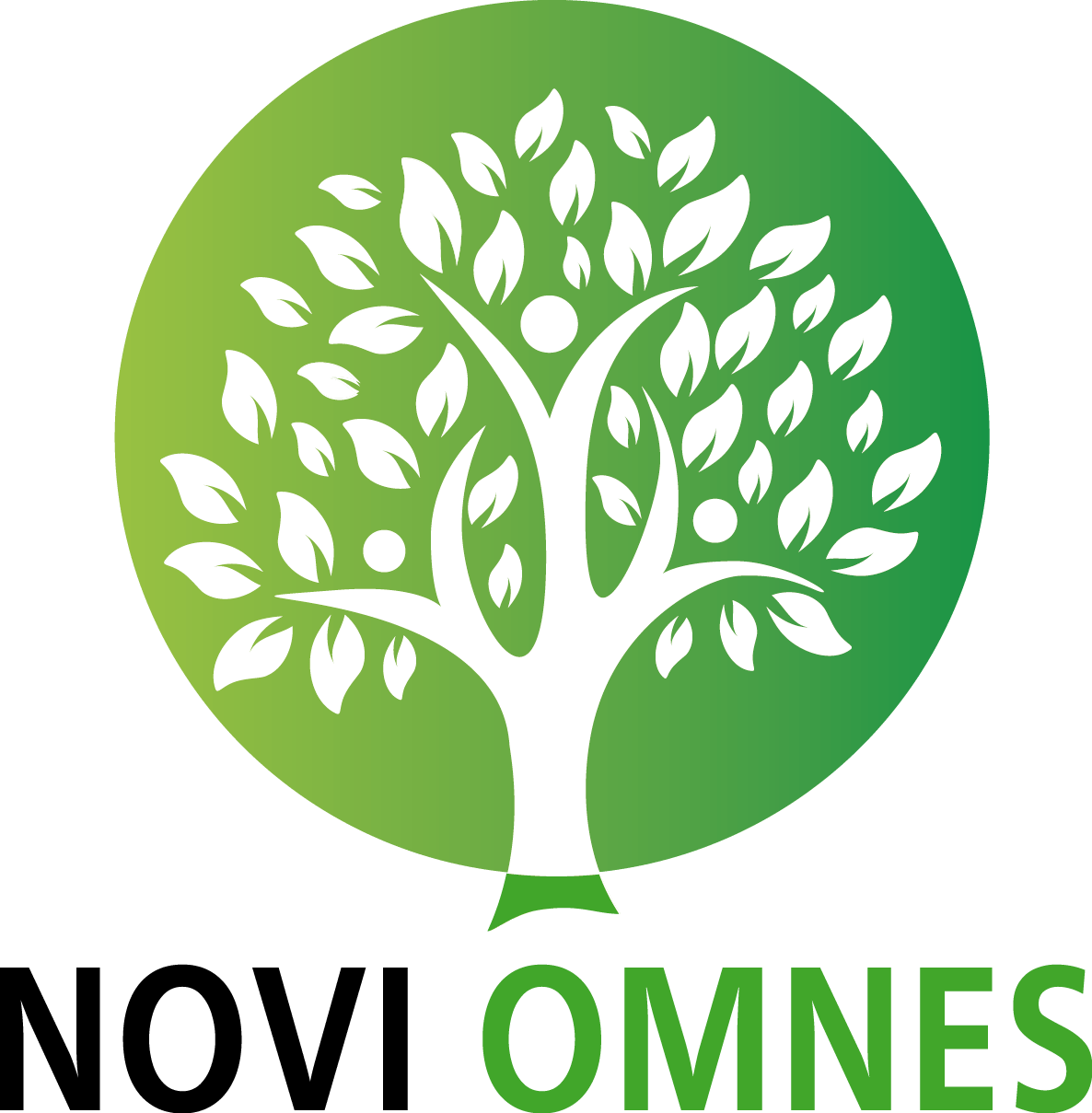 Novo Omnes Logo